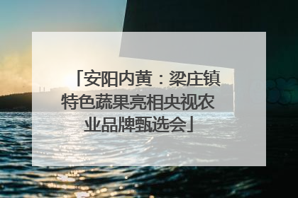 安阳内黄：梁庄镇特色蔬果亮相央视农业品牌甄选会