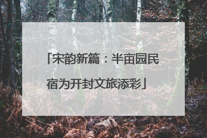 宋韵新篇：半亩园民宿为开封文旅添彩