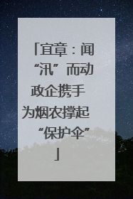 宜章：闻“汛”而动 政企携手为烟农撑起“保护伞”