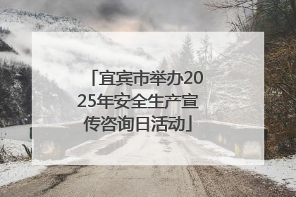 宜宾市举办2025年安全生产宣传咨询日活动