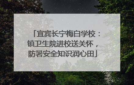 宜宾长宁梅白学校：镇卫生院进校送关怀，防暑安全知识润心田