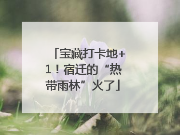 宝藏打卡地+1！宿迁的“热带雨林”火了