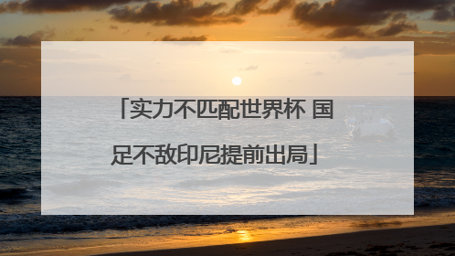 实力不匹配世界杯 国足不敌印尼提前出局