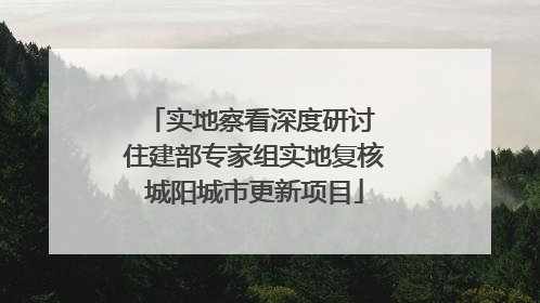 实地察看深度研讨 住建部专家组实地复核城阳城市更新项目
