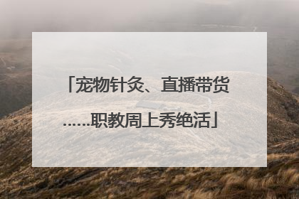 宠物针灸、直播带货……职教周上秀绝活