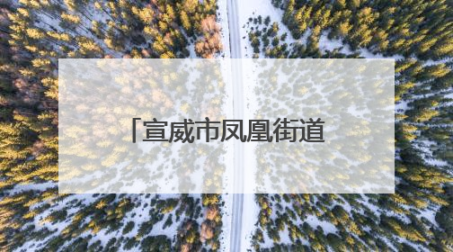 宣威市凤凰街道：“五重五促”共绘家门口务工“斑斓画卷”