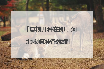 夏粮开秤在即，河北收购准备就绪