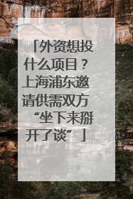 外资想投什么项目？上海浦东邀请供需双方“坐下来掰开了谈”