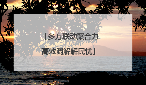 多方联动聚合力 高效调解解民忧