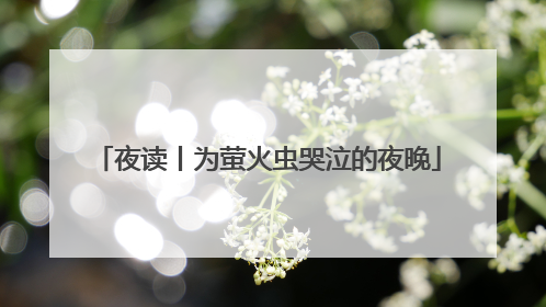 夜读丨为萤火虫哭泣的夜晚