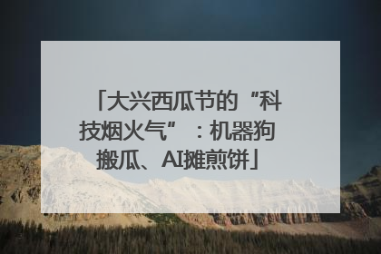 大兴西瓜节的“科技烟火气”：机器狗搬瓜、AI摊煎饼