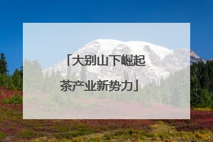 大别山下崛起茶产业新势力
