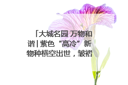 大城名园 万物和谐│紫色“高冷”新物种横空出世，皱褶叶片暗藏进化密码