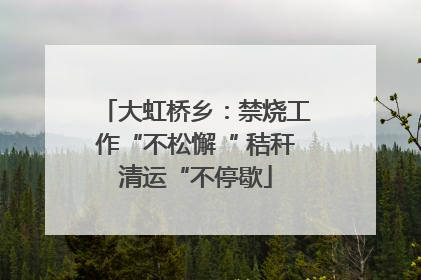 大虹桥乡:禁烧工作“不松懈“ 秸秆清运“不停歇