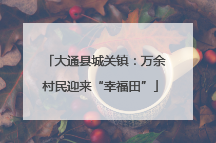 大通县城关镇：万余村民迎来“幸福田”