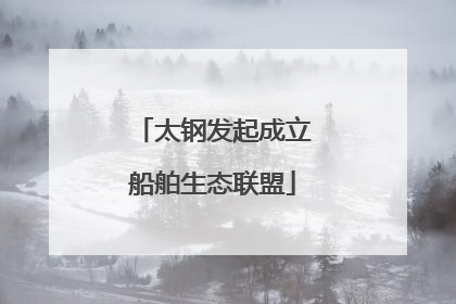 太钢发起成立船舶生态联盟