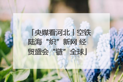 央媒看河北丨空铁陆海“织”新网 经贸盛会“链”全球