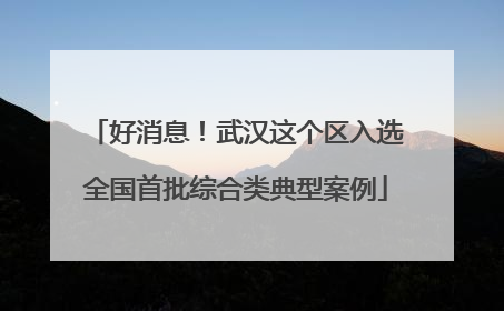 好消息！武汉这个区入选全国首批综合类典型案例