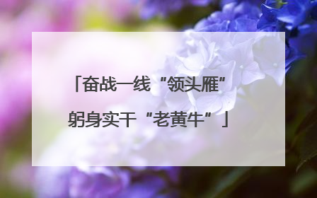 奋战一线“领头雁” 躬身实干“老黄牛”