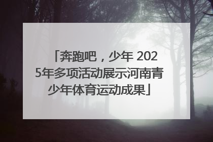 奔跑吧，少年 2025年多项活动展示河南青少年体育运动成果