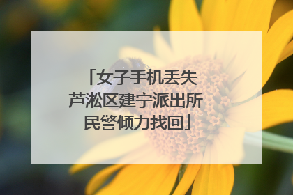 女子手机丢失 芦淞区建宁派出所民警倾力找回