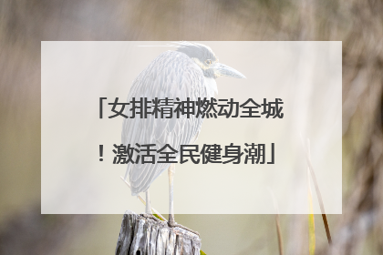 女排精神燃动全城！激活全民健身潮