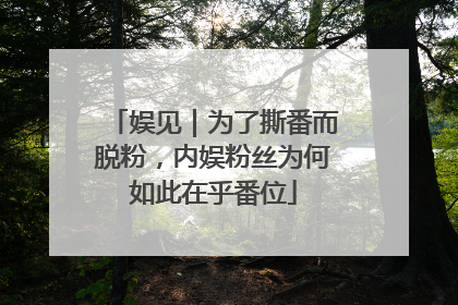 娱见｜为了撕番而脱粉，内娱粉丝为何如此在乎番位