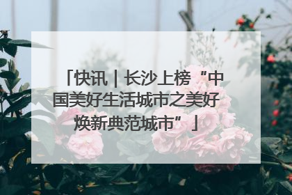 快讯｜长沙上榜“中国美好生活城市之美好焕新典范城市”