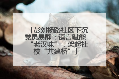 彭刘杨路社区下沉党员易静：语言赋能“老汉味”，架起社校“共建桥”