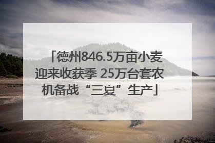 德州846.5万亩小麦迎来收获季 25万台套农机备战“三夏”生产
