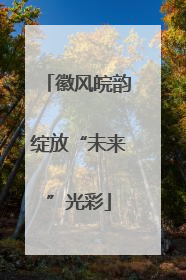 徽风皖韵绽放“未来”光彩