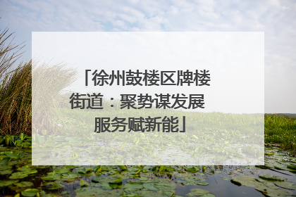 徐州鼓楼区牌楼街道：聚势谋发展 服务赋新能