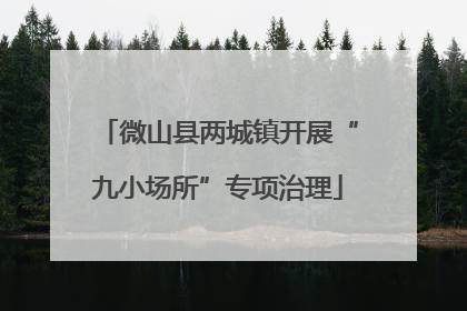 微山县两城镇开展“九小场所”专项治理