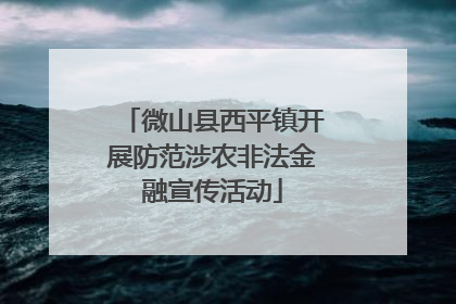 微山县西平镇开展防范涉农非法金融宣传活动