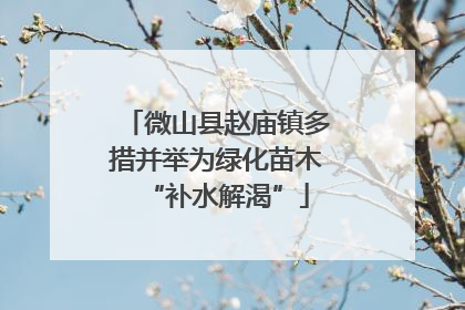 微山县赵庙镇多措并举为绿化苗木“补水解渴”