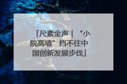 尺素金声｜“小院高墙”挡不住中国创新发展步伐