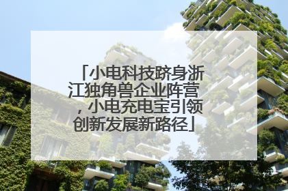 小电科技跻身浙江独角兽企业阵营，小电充电宝引领创新发展新路径