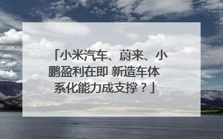 小米汽车、蔚来、小鹏盈利在即 新造车体系化能力成支撑？