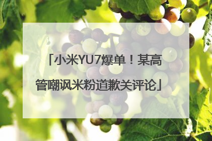 小米YU7爆单！某高管嘲讽米粉道歉关评论