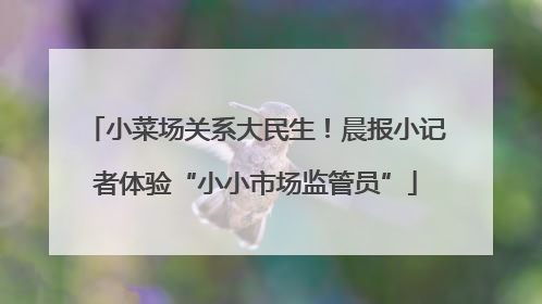 小菜场关系大民生！晨报小记者体验“小小市场监管员”