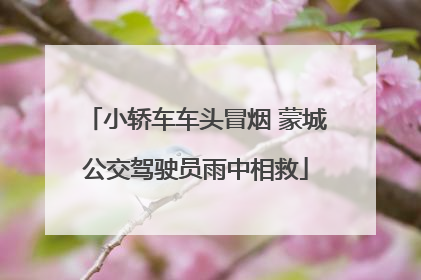 小轿车车头冒烟 蒙城公交驾驶员雨中相救
