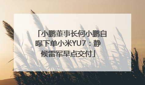 小鹏董事长何小鹏自曝下单小米YU7：静候雷军早点交付
