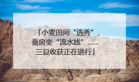 小麦田间“选秀”、蚕房变“流水线”……三夏收获正在进行