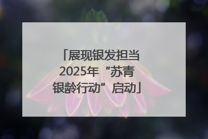 展现银发担当 2025年“苏青银龄行动”启动