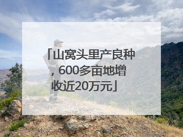 山窝头里产良种，600多亩地增收近20万元