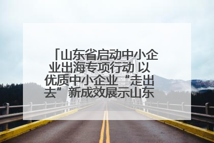 山东省启动中小企业出海专项行动 以优质中小企业“走出去”新成效展示山东产业发展新形象