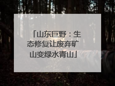 山东巨野：生态修复让废弃矿山变绿水青山