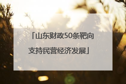 山东财政50条靶向支持民营经济发展