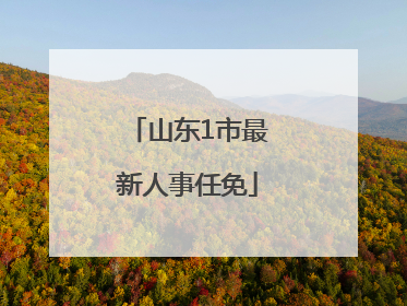 山东1市最新人事任免
