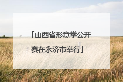 山西省形意拳公开赛在永济市举行
